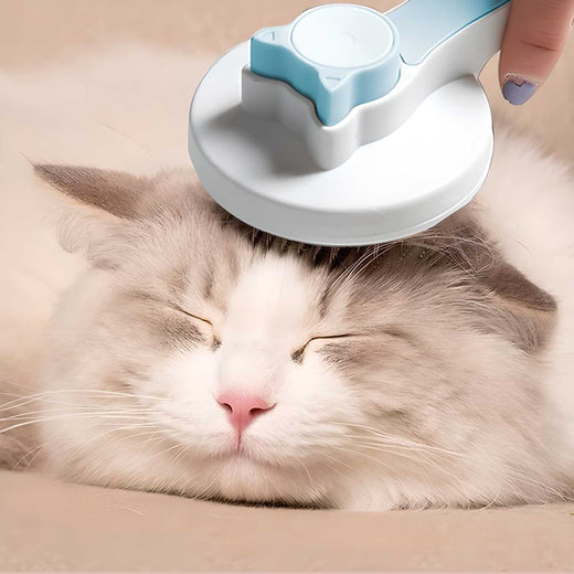 Pet Hair Removal Brush Tool